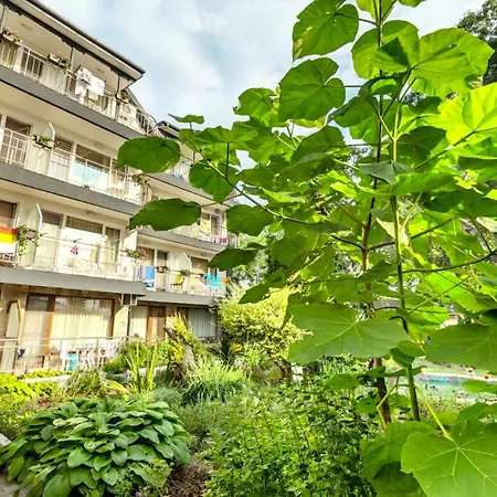 свети никола каваците - плаж и 酒店